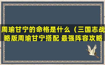 周瑜甘宁的命格是什么（三国志战略版周瑜甘宁搭配 最强阵容攻略）
